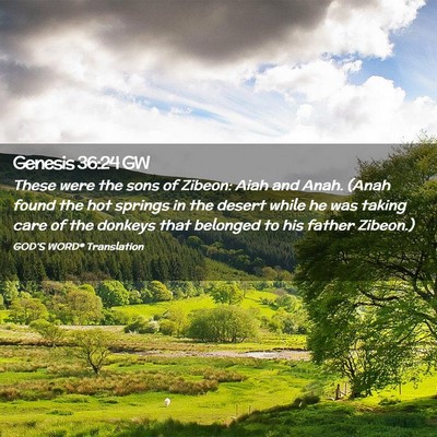 Picture 02 - Genesis 36:24 GW - These were the sons of Zibeon: Aiah and Anah. - Bible Verse Picture