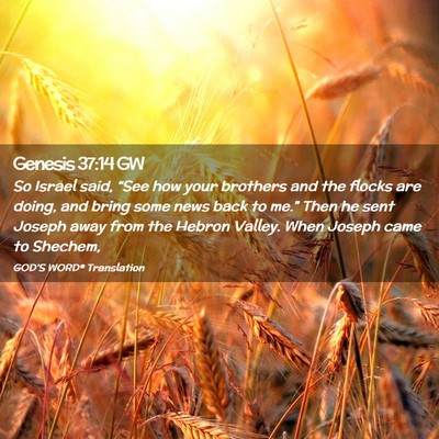 Picture 02 - Genesis 37:14 GW - So Israel said, “See how your brothers and the - Bible Verse Picture