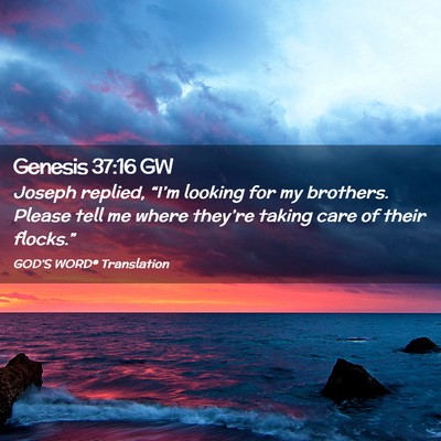 Picture 02 - Genesis 37:16 GW - Joseph replied, “I’m looking for my brothers. - Bible Verse Picture
