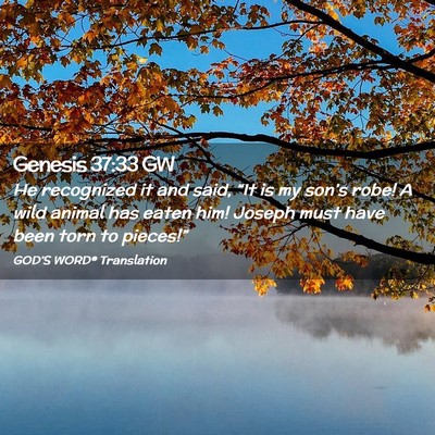 Picture 02 - Genesis 37:33 GW - He recognized it and said, “It is my son’s - Bible Verse Picture