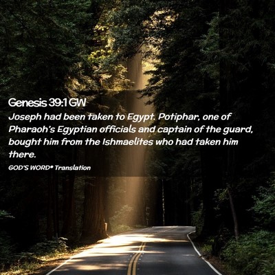 Picture 02 - Genesis 39:1 GW - Joseph had been taken to Egypt. Potiphar, one of - Bible Verse Picture