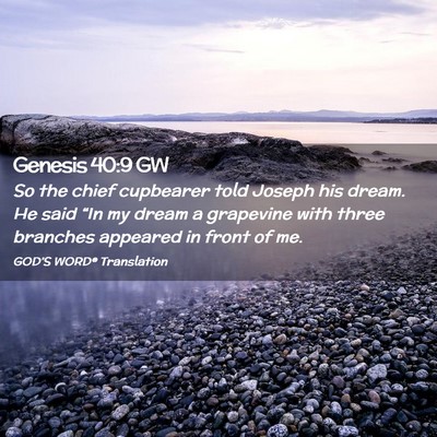 Picture 02 - Genesis 40:9 GW - So the chief cupbearer told Joseph his dream. He - Bible Verse Picture