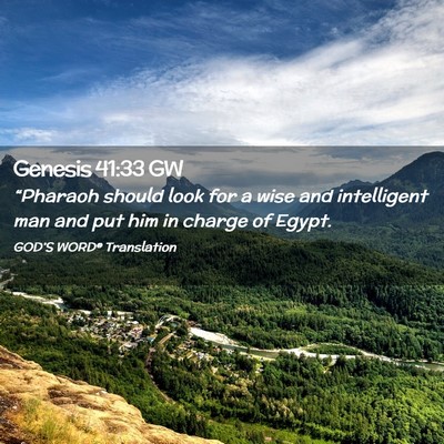 Picture 02 - Genesis 41:33 GW - “Pharaoh should look for a wise and intelligent - Bible Verse Picture