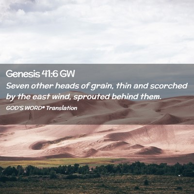 Picture 02 - Genesis 41:6 GW - Seven other heads of grain, thin and scorched by - Bible Verse Picture