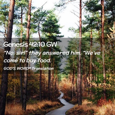 Picture 02 - Genesis 42:10 GW - “No, sir!” they answered him. “We’ve come - Bible Verse Picture