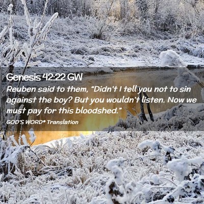 Picture 02 - Genesis 42:22 GW - Reuben said to them, “Didn’t I tell you not - Bible Verse Picture