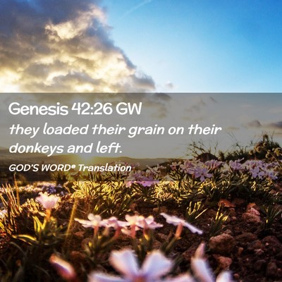 Picture 02 - Genesis 42:26 GW - they loaded their grain on their donkeys and - Bible Verse Picture