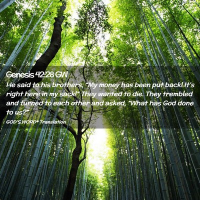 Picture 02 - Genesis 42:28 GW - He said to his brothers, “My money has been put - Bible Verse Picture