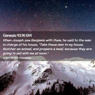 Picture 02 - Genesis 43:16 GW - When Joseph saw Benjamin with them, he said to - Bible Verse Picture