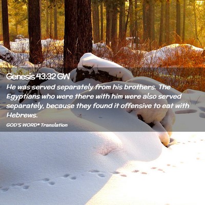 Picture 02 - Genesis 43:32 GW - He was served separately from his brothers. The - Bible Verse Picture