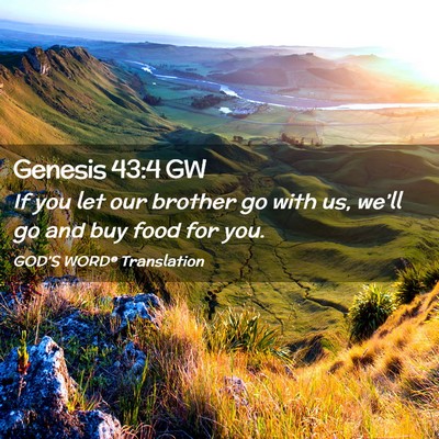 Picture 02 - Genesis 43:4 GW - If you let our brother go with us, we’ll go and - Bible Verse Picture