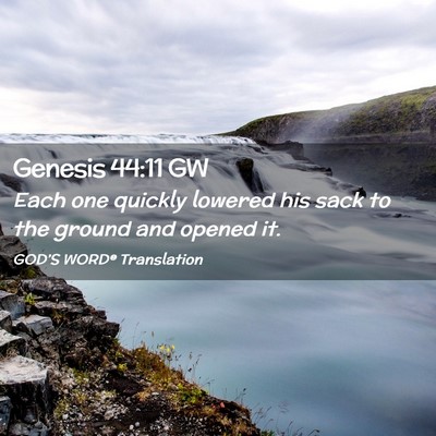Picture 02 - Genesis 44:11 GW - Each one quickly lowered his sack to the ground - Bible Verse Picture