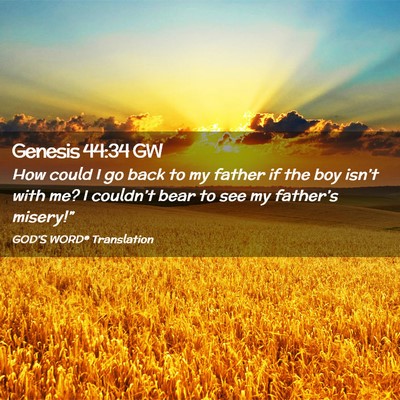 Picture 02 - Genesis 44:34 GW - How could I go back to my father if the boy - Bible Verse Picture