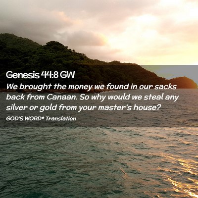 Picture 02 - Genesis 44:8 GW - We brought the money we found in our sacks back - Bible Verse Picture