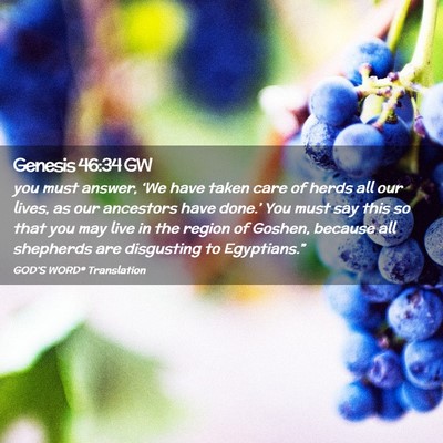 Picture 02 - Genesis 46:34 GW - you must answer, ‘We have taken care of herds - Bible Verse Picture