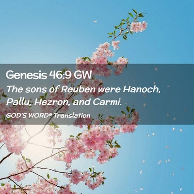 Picture 02 - Genesis 46:9 GW - The sons of Reuben were Hanoch, Pallu, Hezron, - Bible Verse Picture
