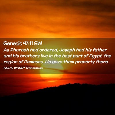 Picture 02 - Genesis 47:11 GW - As Pharaoh had ordered, Joseph had his father and - Bible Verse Picture