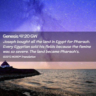 Picture 02 - Genesis 47:20 GW - Joseph bought all the land in Egypt for Pharaoh. - Bible Verse Picture
