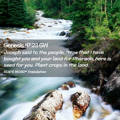 Picture 02 - Genesis 47:23 GW - Joseph said to the people, “Now that I have - Bible Verse Picture