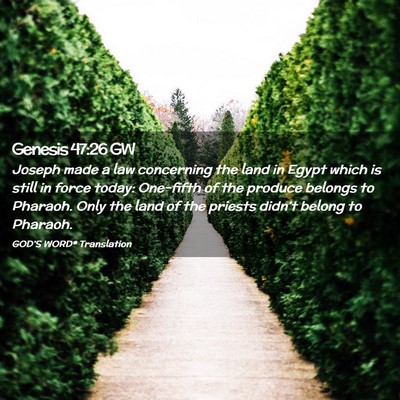 Picture 02 - Genesis 47:26 GW - Joseph made a law concerning the land in Egypt - Bible Verse Picture