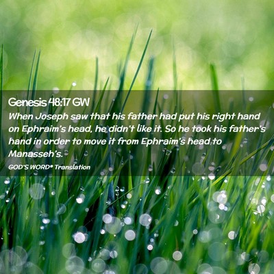 Picture 02 - Genesis 48:17 GW - When Joseph saw that his father had put his right - Bible Verse Picture