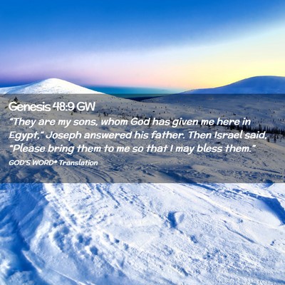 Picture 02 - Genesis 48:9 GW - “They are my sons, whom God has given me here - Bible Verse Picture