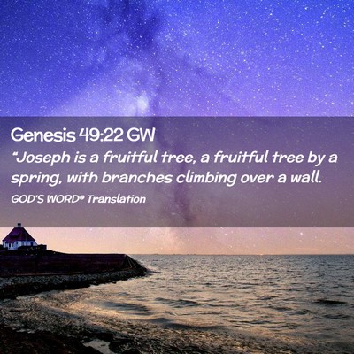 Picture 02 - Genesis 49:22 GW - “Joseph is a fruitful tree, a fruitful tree by - Bible Verse Picture