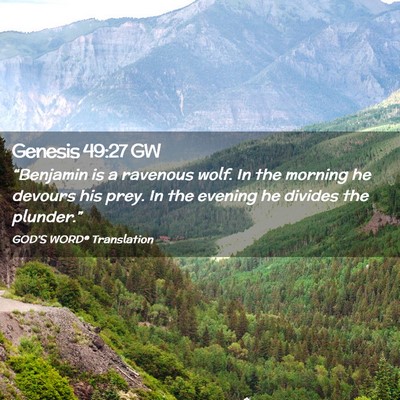 Picture 02 - Genesis 49:27 GW - “Benjamin is a ravenous wolf. In the morning he - Bible Verse Picture