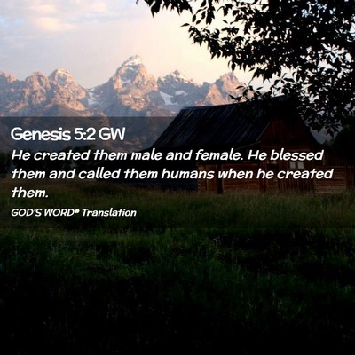 Picture 02 - Genesis 5:2 GW - He created them male and female. He blessed them - Bible Verse Picture