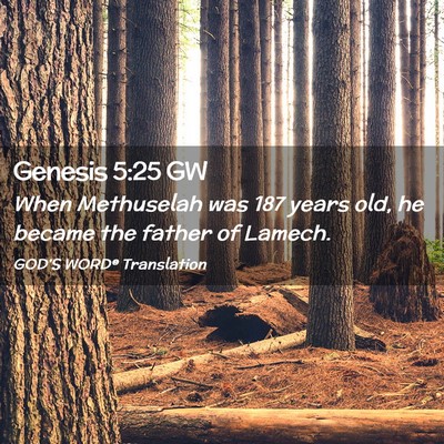Picture 02 - Genesis 5:25 GW - When Methuselah was 187 years old, he became the - Bible Verse Picture