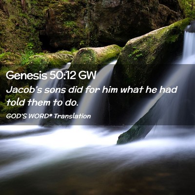 Picture 02 - Genesis 50:12 GW - Jacob’s sons did for him what he had told them - Bible Verse Picture