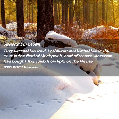 Picture 02 - Genesis 50:13 GW - They carried him back to Canaan and buried him in - Bible Verse Picture