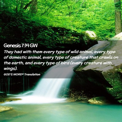 Picture 02 - Genesis 7:14 GW - They had with them every type of wild animal, - Bible Verse Picture