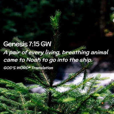 Picture 02 - Genesis 7:15 GW - A pair of every living, breathing animal came to - Bible Verse Picture