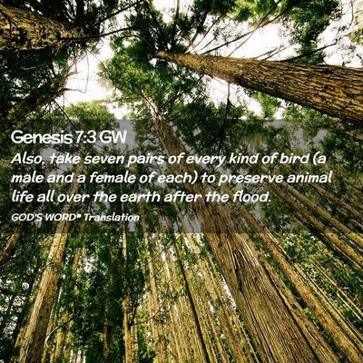 Picture 02 - Genesis 7:3 GW - Also, take seven pairs of every kind of bird (a - Bible Verse Picture