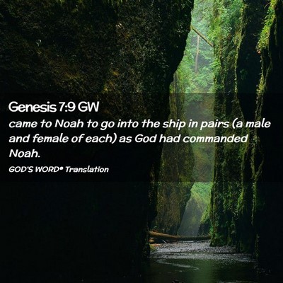 Picture 02 - Genesis 7:9 GW - came to Noah to go into the ship in pairs (a male - Bible Verse Picture