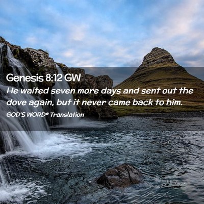 Picture 02 - Genesis 8:12 GW - He waited seven more days and sent out the dove - Bible Verse Picture
