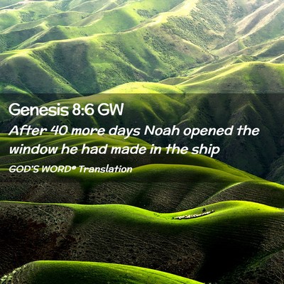 Picture 02 - Genesis 8:6 GW - After 40 more days Noah opened the window he had - Bible Verse Picture