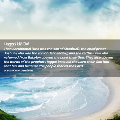 Picture 02 - Haggai 1:12 GW - Then Zerubbabel (who was the son of Shealtiel), - Bible Verse Picture