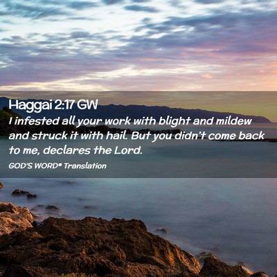 Picture 02 - Haggai 2:17 GW - I infested all your work with blight and mildew - Bible Verse Picture