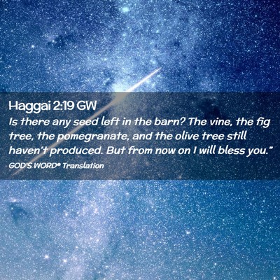 Picture 02 - Haggai 2:19 GW - Is there any seed left in the barn? The vine, the - Bible Verse Picture