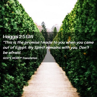 Picture 02 - Haggai 2:5 GW - “This is the promise I made to you when you - Bible Verse Picture