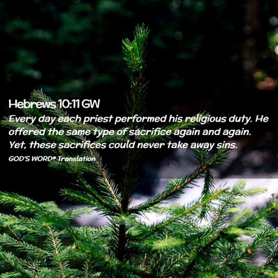 Picture 02 - Hebrews 10:11 GW - Every day each priest performed his religious - Bible Verse Picture
