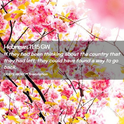 Picture 02 - Hebrews 11:15 GW - If they had been thinking about the country that - Bible Verse Picture