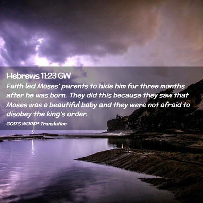 Picture 02 - Hebrews 11:23 GW - Faith led Moses’ parents to hide him for three - Bible Verse Picture