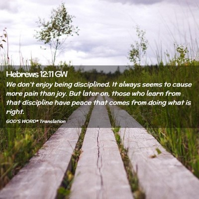 Picture 02 - Hebrews 12:11 GW - We don’t enjoy being disciplined. It always - Bible Verse Picture