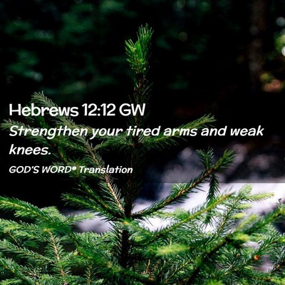 Picture 02 - Hebrews 12:12 GW - Strengthen your tired arms and weak - Bible Verse Picture