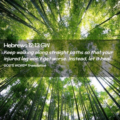 Picture 02 - Hebrews 12:13 GW - Keep walking along straight paths so that your - Bible Verse Picture