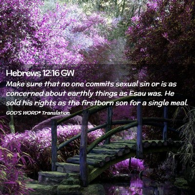 Picture 02 - Hebrews 12:16 GW - Make sure that no one commits sexual sin or is as - Bible Verse Picture