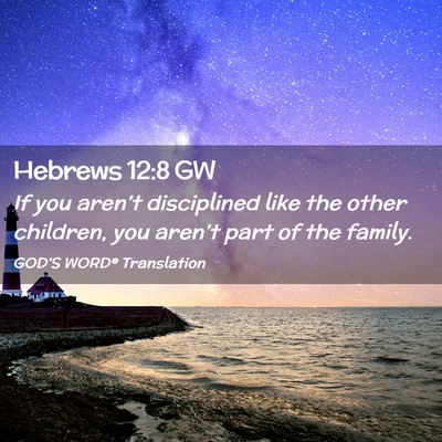 Picture 02 - Hebrews 12:8 GW - If you aren’t disciplined like the other - Bible Verse Picture